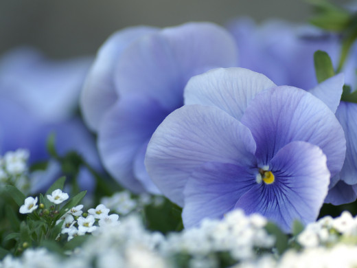 427034 (a): :1600x1200